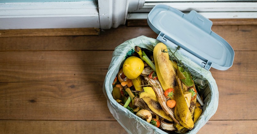 Read more about the article 6 melhores dicas para aproveitar os resíduos orgânicos no condomínio