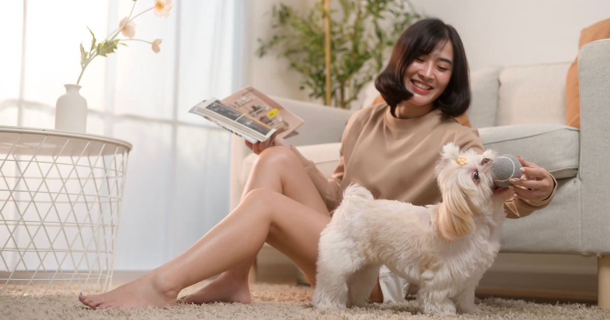 No momento, você está visualizando Pets no condomínio: direitos e deveres que todo tutor precisa conhecer